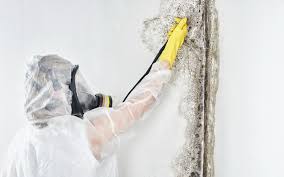 Best HVAC Mold Inspection and Cleaning in Kennedale, TX